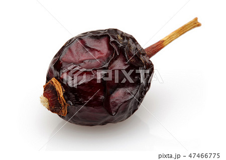 Dried single rosehip on white background Dried single rosehip on white background 47466775