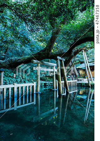 鹿島神宮 御手洗池 みたらしいけ （茨城県鹿嶋市） 2019年1月現在 47467358