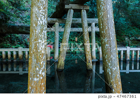 鹿島神宮 御手洗池 みたらしいけ （茨城県鹿嶋市） 2019年1月現在 47467361