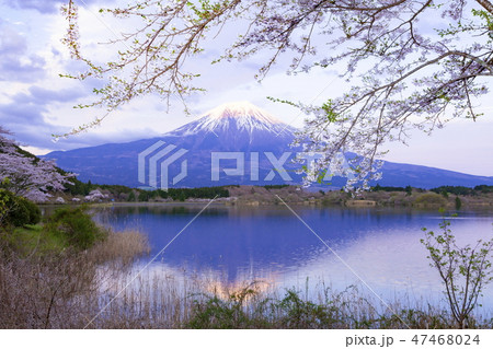 田貫湖の夕景、静岡県富士宮市にて 47468024