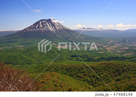 昆布岳から見る初夏の羊蹄山 47468149
