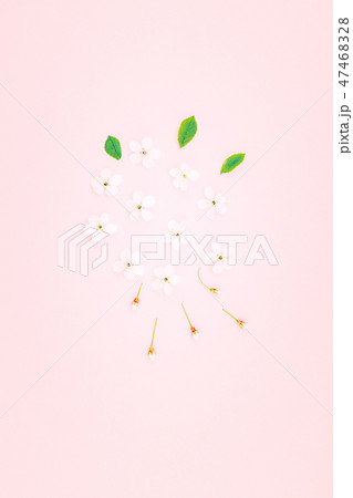 White spring cherry tree blooming flowers pattern White spring cherry tree blooming flowers pattern 47468328