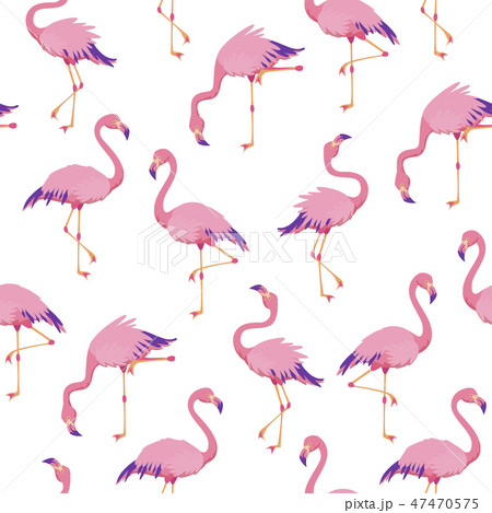 Pink Flamingos Pattern Cute Tropical Birds のイラスト素材