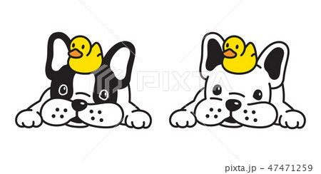 dog vector french bulldog duck rubber icon cartoon 47471259