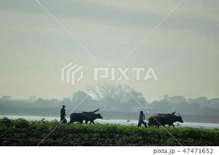 The Worker 47471652