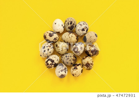 Circle set quail eggs on yellow paper background 47472931