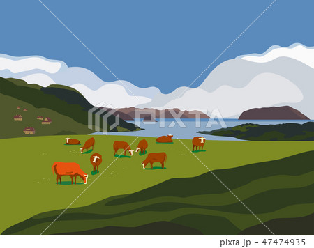 Cow on  Alps meadow 47474935