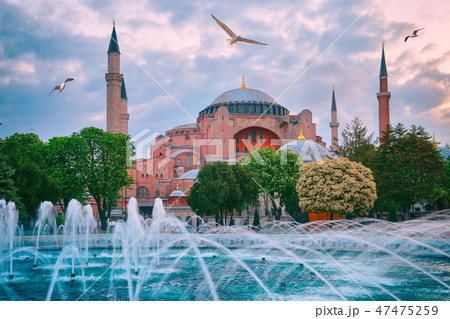 Mosque Aya Sofia with gulls in the sky 47475259