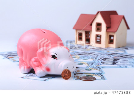 Real estate or home saving. piggy bank with... - Stock Photo [47475388] -  PIXTA