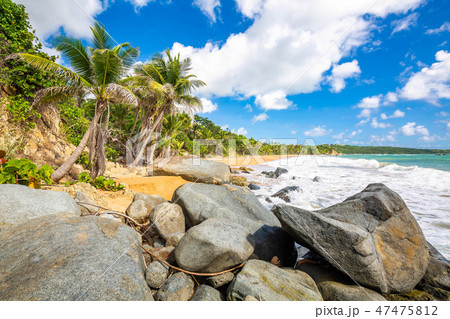 Exotic Caribbean shore of Puerto Rico beach 47475812
