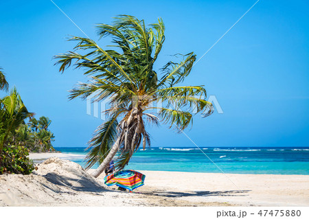 Exotic Caribbean shore of Puerto Rico beach 47475880