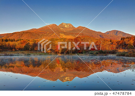 朝靄の残るいもり池の紅葉 朝靄の残るいもり池の紅葉 47478784