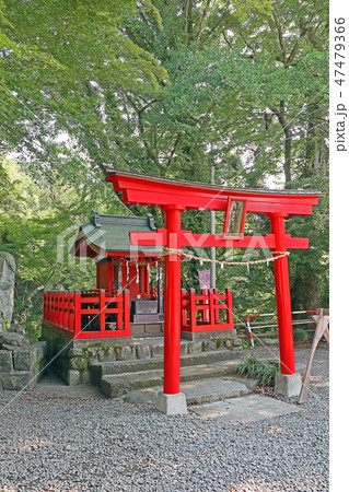 猿橋 猿橋 47479366