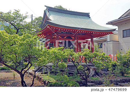 甲斐善光寺 47479699