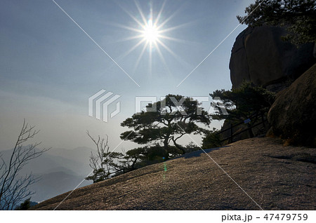 恩平区 山 北朝鮮産 47479759