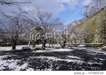 岡山県津山市の桜の名所「鶴山公園(津山城趾)」:冬の風景(三の丸) 岡山県津山市の桜の名所「鶴山公園(津山城趾)」:冬の風景(三の丸) 47480529