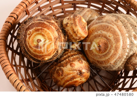 かご入り赤芽芋・里芋 かご入り赤芽芋・里芋 47480580