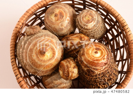 かご入り赤芽芋・里芋 47480582