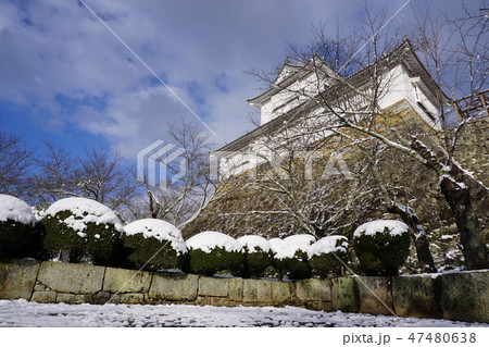 岡山県津山市の桜の名所「鶴山公園（津山城趾）」：雪景色（備中櫓） 47480638