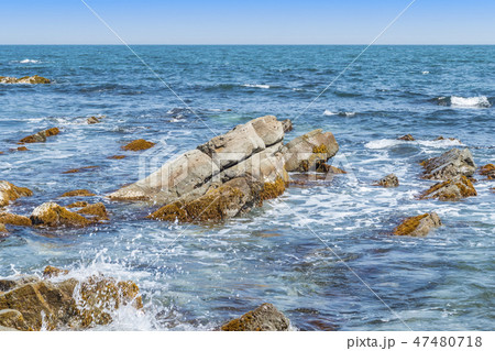 【平磯 白亜紀層】 【平磯 白亜紀層】 47480718