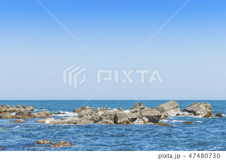 【平磯　白亜紀層】 47480730