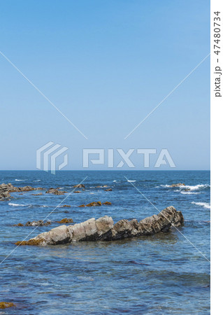 【平磯 白亜紀層】 【平磯 白亜紀層】 47480734