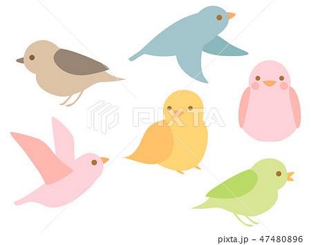 鳥11 小鳥 セット 複数 鳥類 動物のイラスト素材 47480896 Pixta