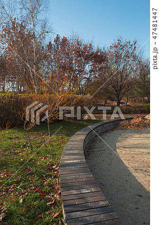 With an autumn flavor, autumn forest landscape with red leaves 009 With an autumn flavor, autumn forest landscape with red leaves 009 47481447