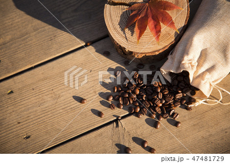 Colorful autumn landscape in park 122 47481729