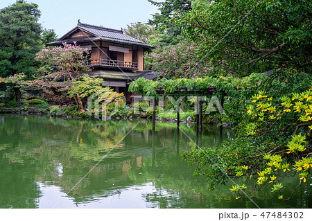 九条池と拾翠亭 47484302
