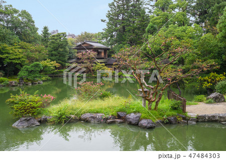 九条池と拾翠亭 九条池と拾翠亭 47484303