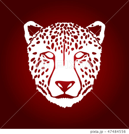 Cheetah Face Graphic Vector のイラスト素材