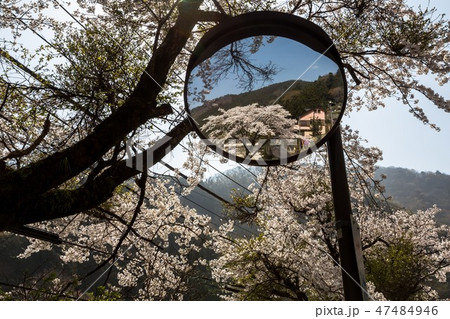 昔も今も行き交う旅人達・春の奥多摩むかし道 47484946