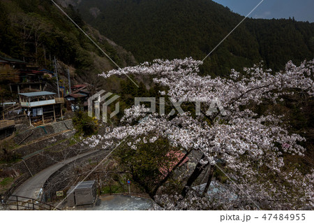昔も今も行き交う旅人達・春の奥多摩むかし道 昔も今も行き交う旅人達・春の奥多摩むかし道 47484955