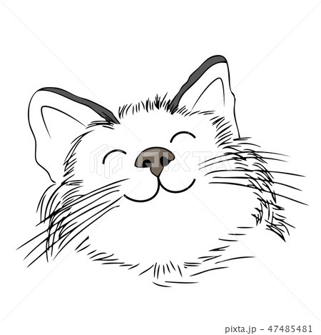 Cute cartoon cat smiling. Hand draw style.  47485481