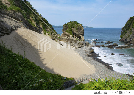 田牛サンドスキー場 田牛サンドスキー場 47486513