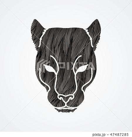 Black Panther Head cartoon graphic vector 47487285