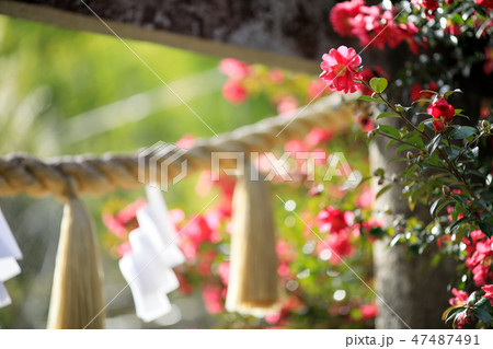 神社 鳥居イメージ しめ縄 47487491