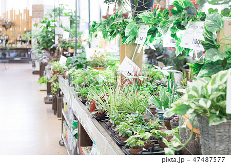 ホームセンター ホームセンター 47487577