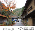 京都一周トレイル　北山２ 47488183