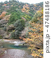京都一周トレイル　北山 47488186