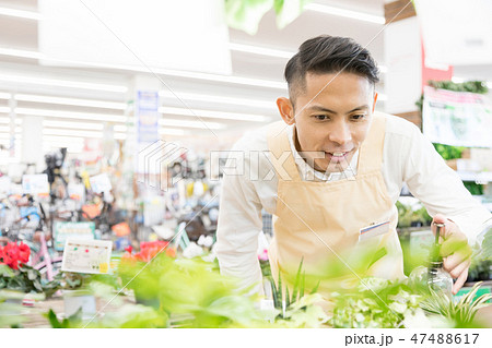 ホームセンター 観葉植物 ガーデニングの写真素材