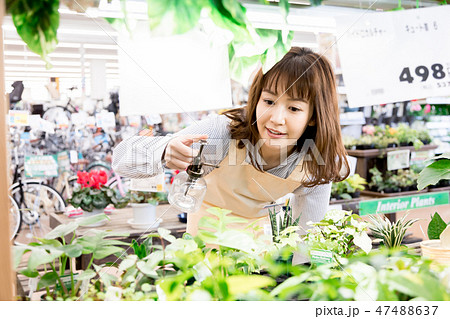 ホームセンター 観葉植物 ガーデニングの写真素材