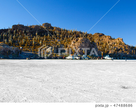 Isla Incahuasi or Isla de los pescadores is an island in the middle of Salar de Uyuni in Bolivia Isla Incahuasi or Isla de los pescadores is an island in the middle of Salar de Uyuni in Bolivia 47488686