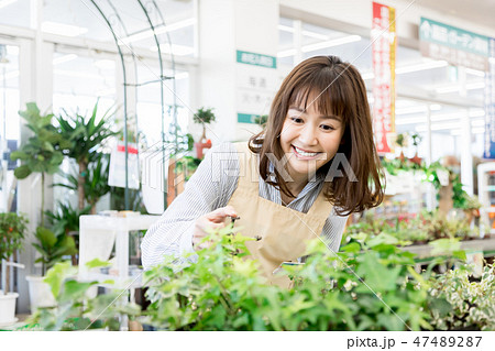 ホームセンター 観葉植物 ガーデニングの写真素材