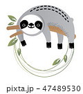 Vector frame of a cute sloth 47489530