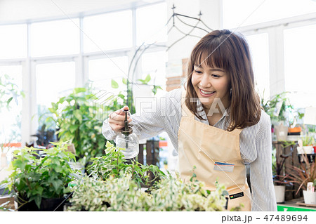 ホームセンター 観葉植物 ガーデニングの写真素材