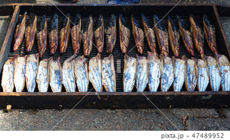 かつお節工場_03 47489952