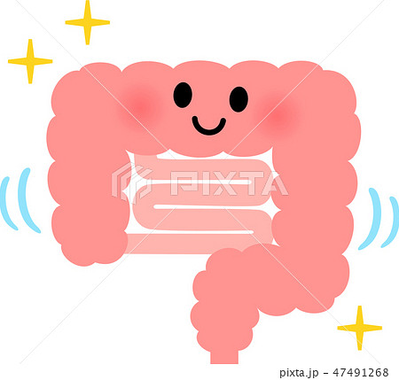 健康な大腸と小腸のキャラクターのイラスト素材 47491268 Pixta
