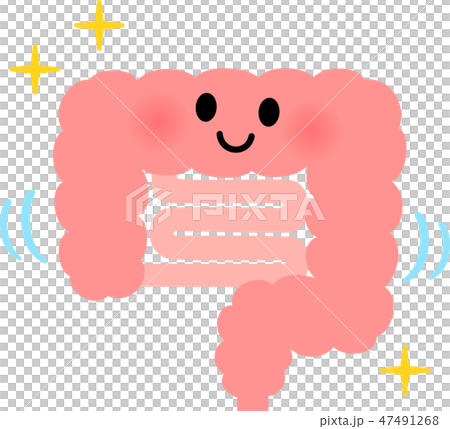 健康な大腸と小腸のキャラクターのイラスト素材